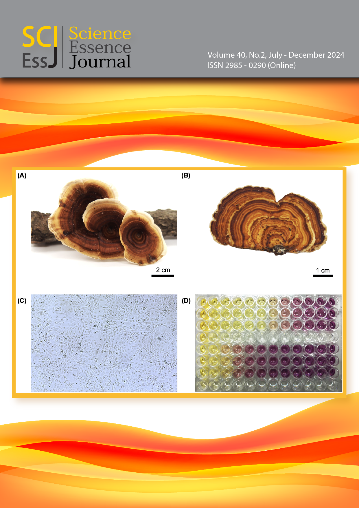 					View Vol. 40 No. 2 (2024): Sci. Ess. J. Vol. 40 No. 2 (July - December 2024)
				